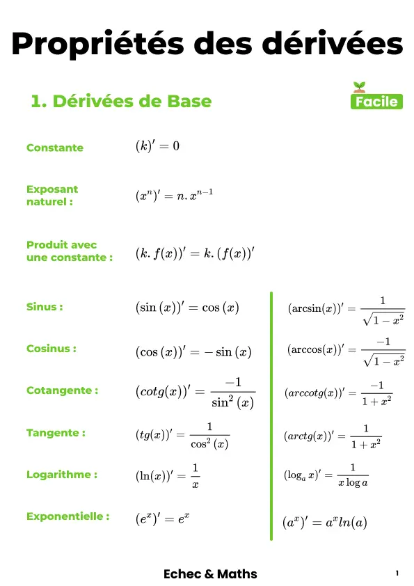 dérivée 2.webp